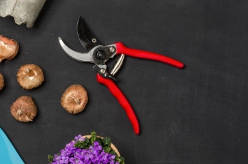 Gartenwerkzeuge