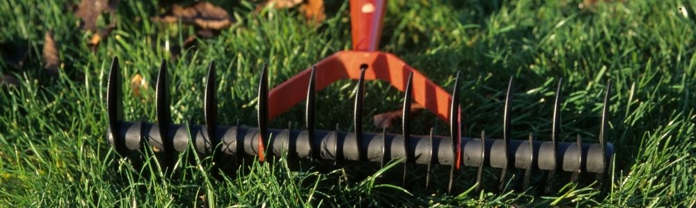 Belüften Sie den Rasen