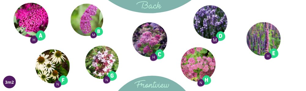 langliches Staudenbeet Beispiel