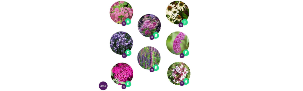 viereckige Staudenbeet mitten im Garten Beispiel