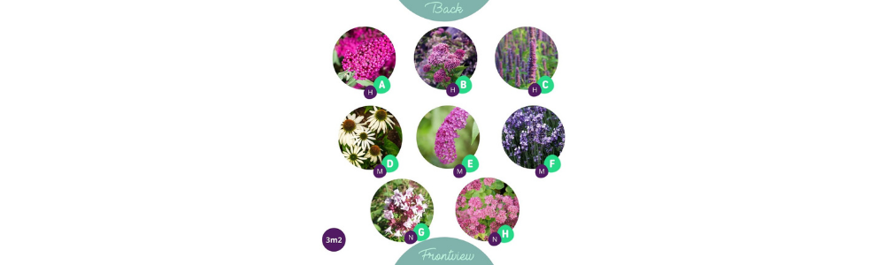 viereckiges Staudenbeet Beispiel