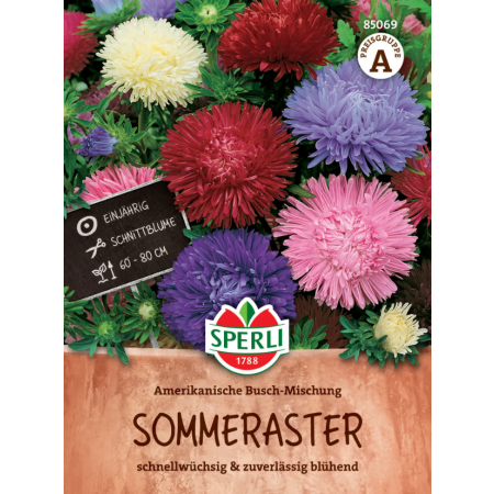 Asternsamen Amerikanische Busch-Mischung