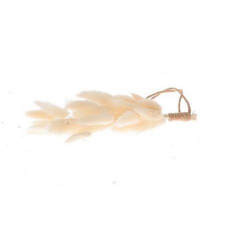 Hang. Lagurus Bobbin l20.0 Bleached