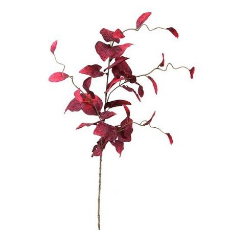 Eucalyptus blad Zweig bordeaux - l94cm 298262 burgundy01