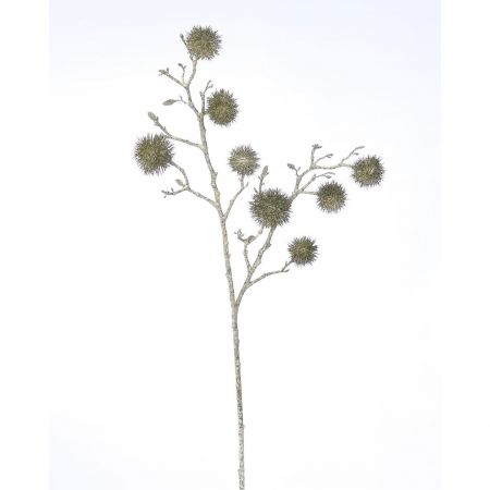 Distel Zweig d.grün - l87cm 1430071 dkgr01