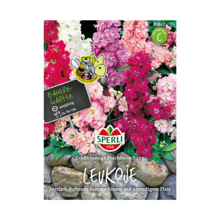 levkoje 'groï¿½blumige prachtmischung'