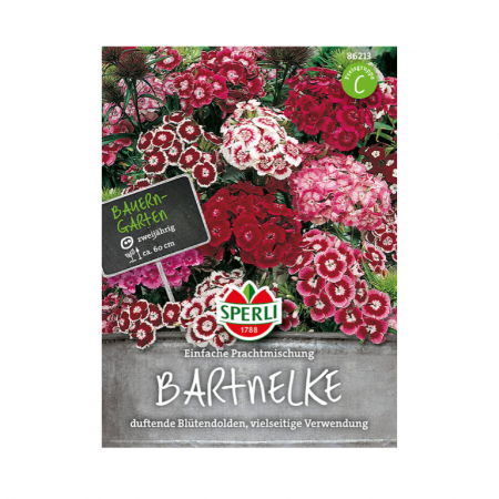 bartnelke 'einfache prachtmischung'