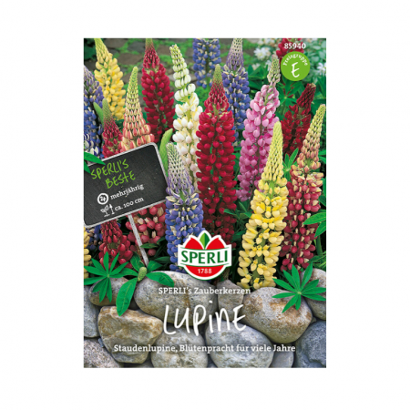 staudenlupine 'sperli's zauberkerzen'