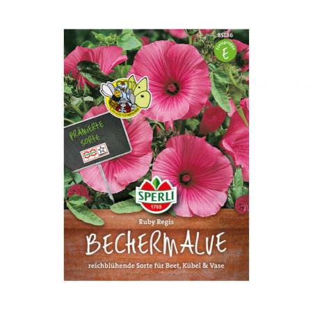bechermalve 'ruby regis '