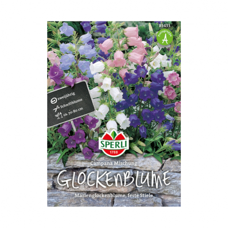 marien-glockenblume  'campana mischung'