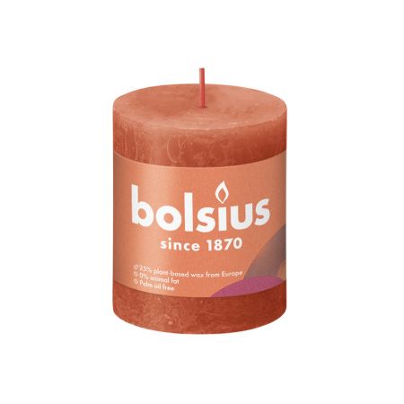 Rustik-Stumpenkerze 80/68 Earthy Orange  