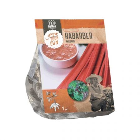  Rhabarber pro 1