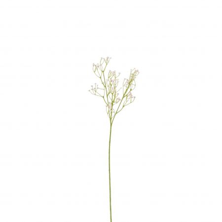 Schleierkraut rosa – L54cm
