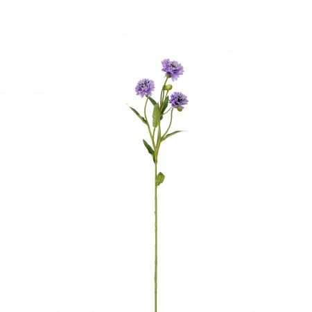 Kornblumen lila – L62cm