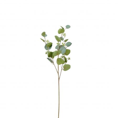Eukalyptus grau – L71cm