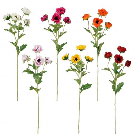 Anemone fuchsia creme rot gelb orange rosa 6-fach sortiert - L62cm