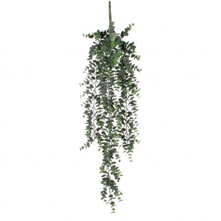 Eukalyptus hängend grün – L78xB22xH5cm