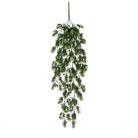 Schefflera hängend grün – L75xB20xH10cm