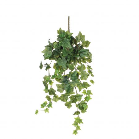 Hedera hängend grün – L71xB20xH15cm
