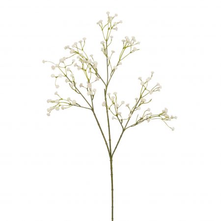 Gipskraut l60cm