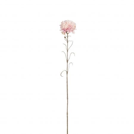 Nelke rosa - l66cm