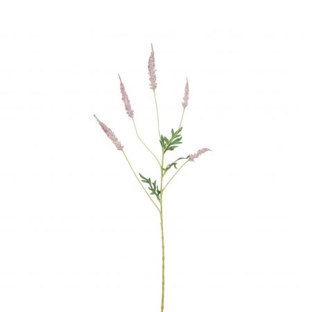 Astilbe d.pink - L81cm