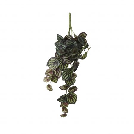 Peperomia hängend aus grünem Fell – L58xB20xH14cm
