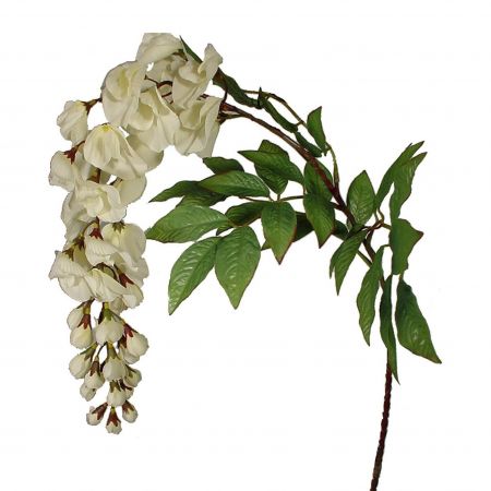 Blauregen cremefarben – L94cm