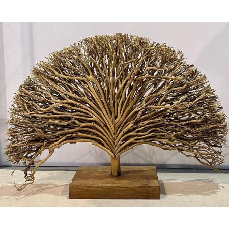 Tree Tea Camea L80W17H50 Natural