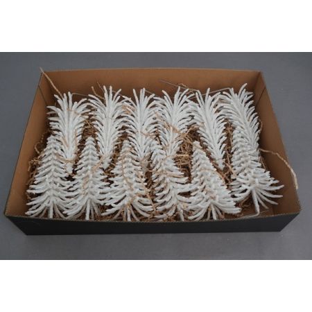 Tree Picea Wax W9H17 White