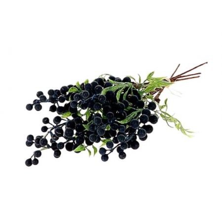 Stem Caper Berry 6pcs L35 Blue