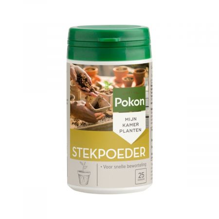 Stekpoeder 25g