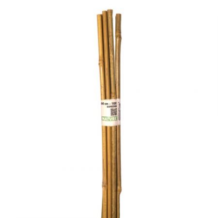 Bambuspflanzstäbe H60 cm (10 Stück)