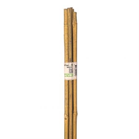 Bambuspflanzstäbe H90 cm (7 Stück)