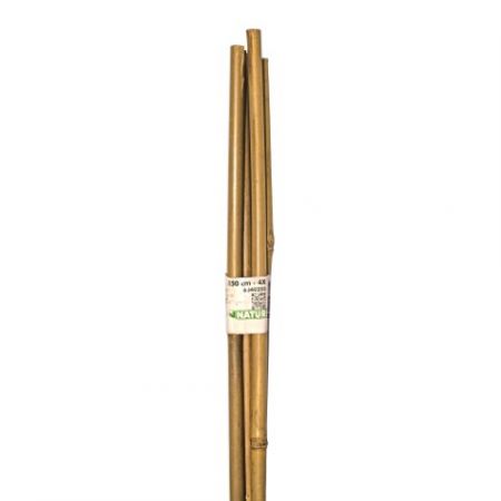 Bambuspflanzstäbe H150 cm (4 Stück)