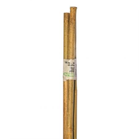 Bambuspflanzstäbe H180 cm (3 Stück)