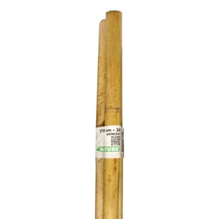 Bambuspflanzstäbe H210 cm (3 Stück)