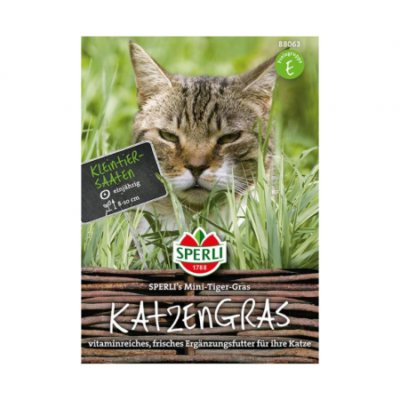 Katzengrassamen SPERLI's Mini-Tiger-Gras
