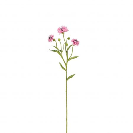 Kornblumen rosa – L62cm