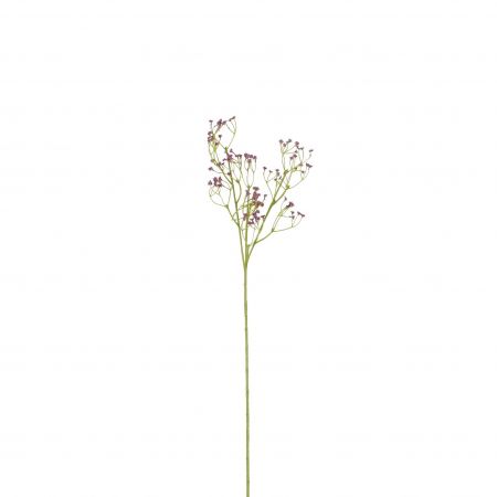 Gypsophyla lila – L54cm