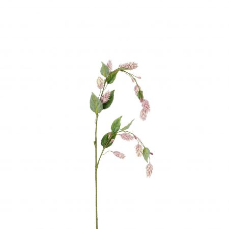 Hopfenpflanze lila – L74cm