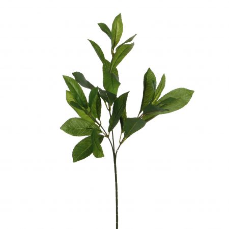 Laurier grün – L58cm