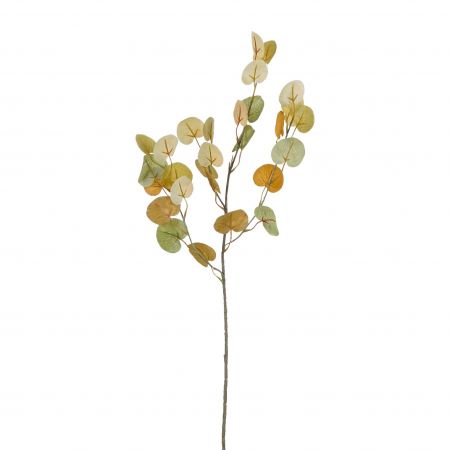 Eukalyptusblattzweig grün – L73cm