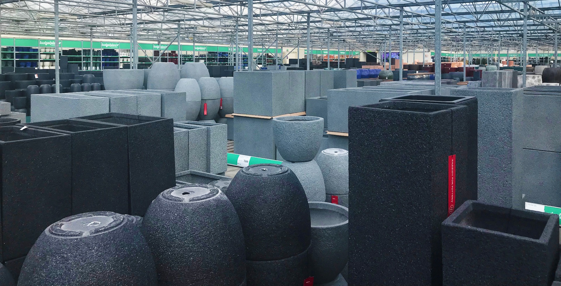 Budgetplant Venlo